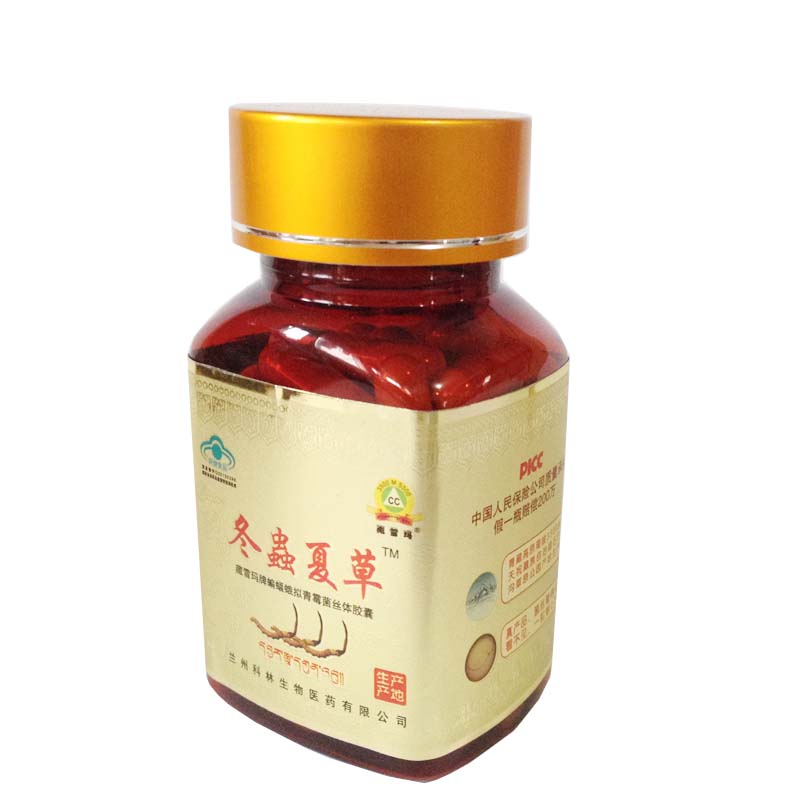 冬蟲夏草膠囊介紹